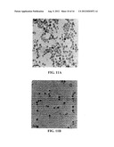 LIPOSOMES COMPRISING A CALCIUM PHOSPHATE-CONTAINING PRECIPITATE diagram and image