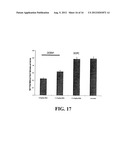 LIPOSOMES COMPRISING A CALCIUM PHOSPHATE-CONTAINING PRECIPITATE diagram and image