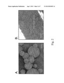 POROUS-WALL HOLLOW GLASS MICROSPHERES AS CARRIERS FOR BIOMOLECULES diagram and image