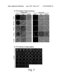 POROUS-WALL HOLLOW GLASS MICROSPHERES AS CARRIERS FOR BIOMOLECULES diagram and image