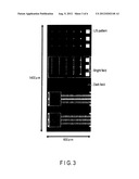 FLARE PREDICTION METHOD, PHOTOMASK MANUFACTURING METHOD, SEMICONDUCTOR     DEVICE MANUFACTURING METHOD, AND COMPUTER-READABLE MEDIUM diagram and image