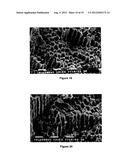 PROCESS FOR LASER TREATMENT OF DENTAL CAVITIES, BIOMATERIAL FOR     REALISATION AND USE THEREOF diagram and image