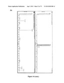 SERUM-BASED BIOMARKERS OF PANCREATIC CANCER AND USES THEREOF FOR DISEASE     DETECTION AND DIAGNOSIS diagram and image