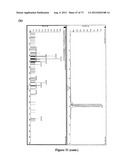 SERUM-BASED BIOMARKERS OF PANCREATIC CANCER AND USES THEREOF FOR DISEASE     DETECTION AND DIAGNOSIS diagram and image