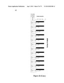 SERUM-BASED BIOMARKERS OF PANCREATIC CANCER AND USES THEREOF FOR DISEASE     DETECTION AND DIAGNOSIS diagram and image