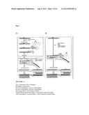 PROCESS FOR THE SYNTHESIS OF A CDNA IN A SAMPLE IN AN ENZYMATIC REACTION diagram and image