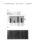 PROCESS FOR THE SYNTHESIS OF A CDNA IN A SAMPLE IN AN ENZYMATIC REACTION diagram and image