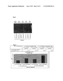 PROCESS FOR THE SYNTHESIS OF A CDNA IN A SAMPLE IN AN ENZYMATIC REACTION diagram and image