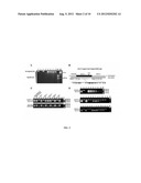 METHODS FOR DETECTING RARE CIRCULATING CANCER CELLS USING DNA METHYLATION     BIOMARKERS diagram and image