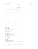 METHODS FOR DETECTING RARE CIRCULATING CANCER CELLS USING DNA METHYLATION     BIOMARKERS diagram and image