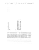 GENETIC ALTERATIONS IN ISOCITRATE DEHYDROGENASE AND OTHER GENES IN     MALIGNANT GLIOMA diagram and image