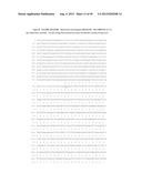 NUCLEIC ACID AND CORRESPONDING PROTEIN ENTITLED 193P1E1B USEFUL IN     TREATMENT AND DETECTION OF CANCER diagram and image