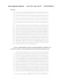 NUCLEIC ACID AND CORRESPONDING PROTEIN ENTITLED 193P1E1B USEFUL IN     TREATMENT AND DETECTION OF CANCER diagram and image