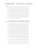 NUCLEIC ACID AND CORRESPONDING PROTEIN ENTITLED 193P1E1B USEFUL IN     TREATMENT AND DETECTION OF CANCER diagram and image