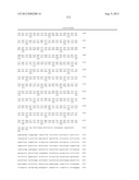 NUCLEIC ACID AND CORRESPONDING PROTEIN ENTITLED 193P1E1B USEFUL IN     TREATMENT AND DETECTION OF CANCER diagram and image