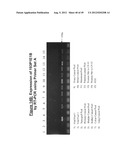 NUCLEIC ACID AND CORRESPONDING PROTEIN ENTITLED 193P1E1B USEFUL IN     TREATMENT AND DETECTION OF CANCER diagram and image