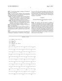 CELL IMAGING METHOD FOR VIEWING MICRORNA BIOGENESIS IN THE CELLS diagram and image