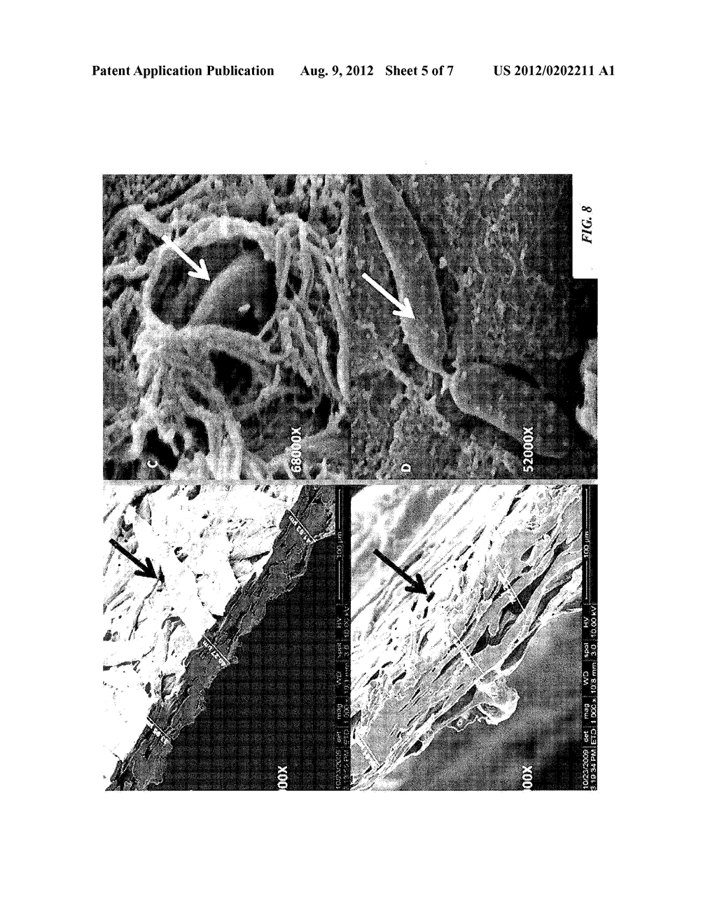 APPARATUS AND METHOD FOR BIOLOGIC SAMPLE RAPID COLLECTION AND RECOVERY     DEVICE, AND CONVENIENT STORAGE - diagram, schematic, and image 06