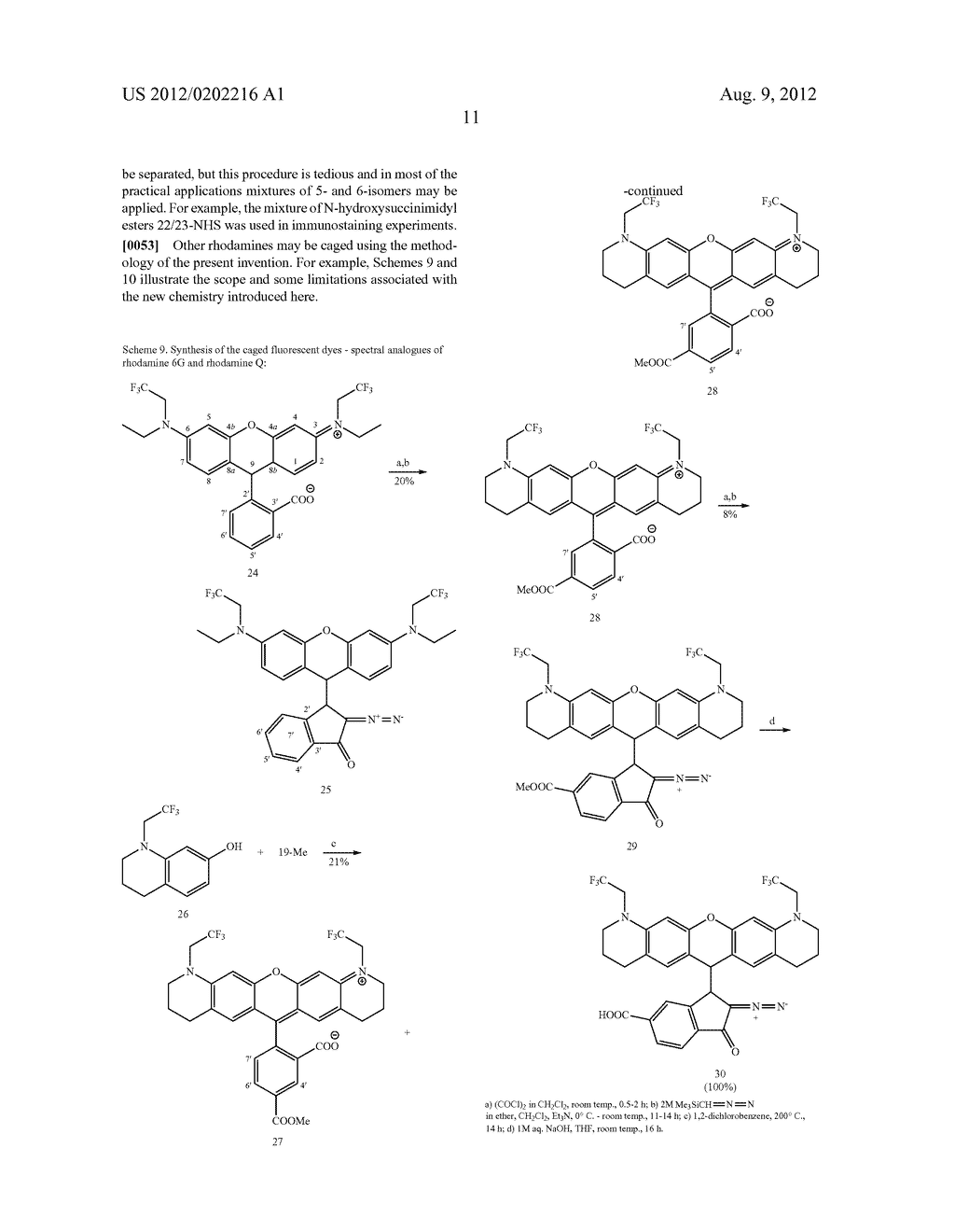 NOVEL PHOTOACTIVABLE FLUORESCENT DYES FOR OPTICAL MICROSCOPY AND IMAGING     TECHNIQUES - diagram, schematic, and image 15