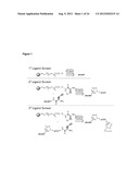 PSA CAPTURE AGENTS, COMPOSITIONS, METHODS AND PREPARATION THEREOF diagram and image