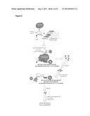 PSA CAPTURE AGENTS, COMPOSITIONS, METHODS AND PREPARATION THEREOF diagram and image