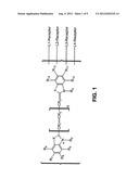 MULTIVALENT FLUORESCENT PROBES diagram and image