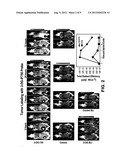 MULTIVALENT FLUORESCENT PROBES diagram and image