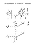 MULTIVALENT FLUORESCENT PROBES diagram and image