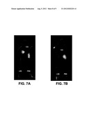 MULTIVALENT FLUORESCENT PROBES diagram and image