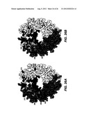 POLYPEPTIDE VARIANTS WITH ALTERED EFFECTOR FUNCTION diagram and image