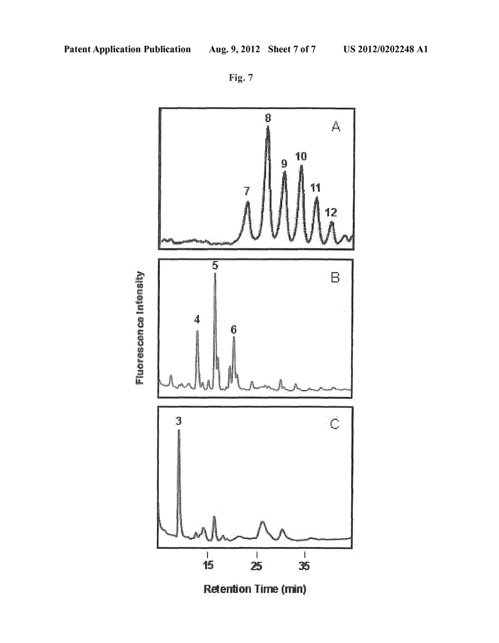 NOVEL HANSENULA POLYMORPHA GENE  CODING FOR DOLICHYL-PHOSPHATE-  MANNOSE     DEPENDENT ALPHA-1,3   MANNOSYLTRANSFERASE AND PROCESS FOR THE PRODUCTION     OF RECOMBINANT GLYCOPROTEINS WITH HANSENULA POLYMORPHA MUTANT STRAIN     DEFICIENT IN THE SAME GENE - diagram, schematic, and image 08