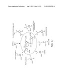 LIGE-TYPE TRANSFORMANTS FOR BIOCONVERSION OF LIGNIN-DERIVED COMPOUNDS diagram and image