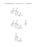 LIGE-TYPE TRANSFORMANTS FOR BIOCONVERSION OF LIGNIN-DERIVED COMPOUNDS diagram and image