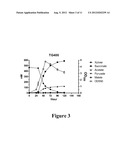 METABOLIC EVOLUTION OF ESCHERICHIS COLI STRAINS THAT PRODUCE ORGANIC ACIDS diagram and image