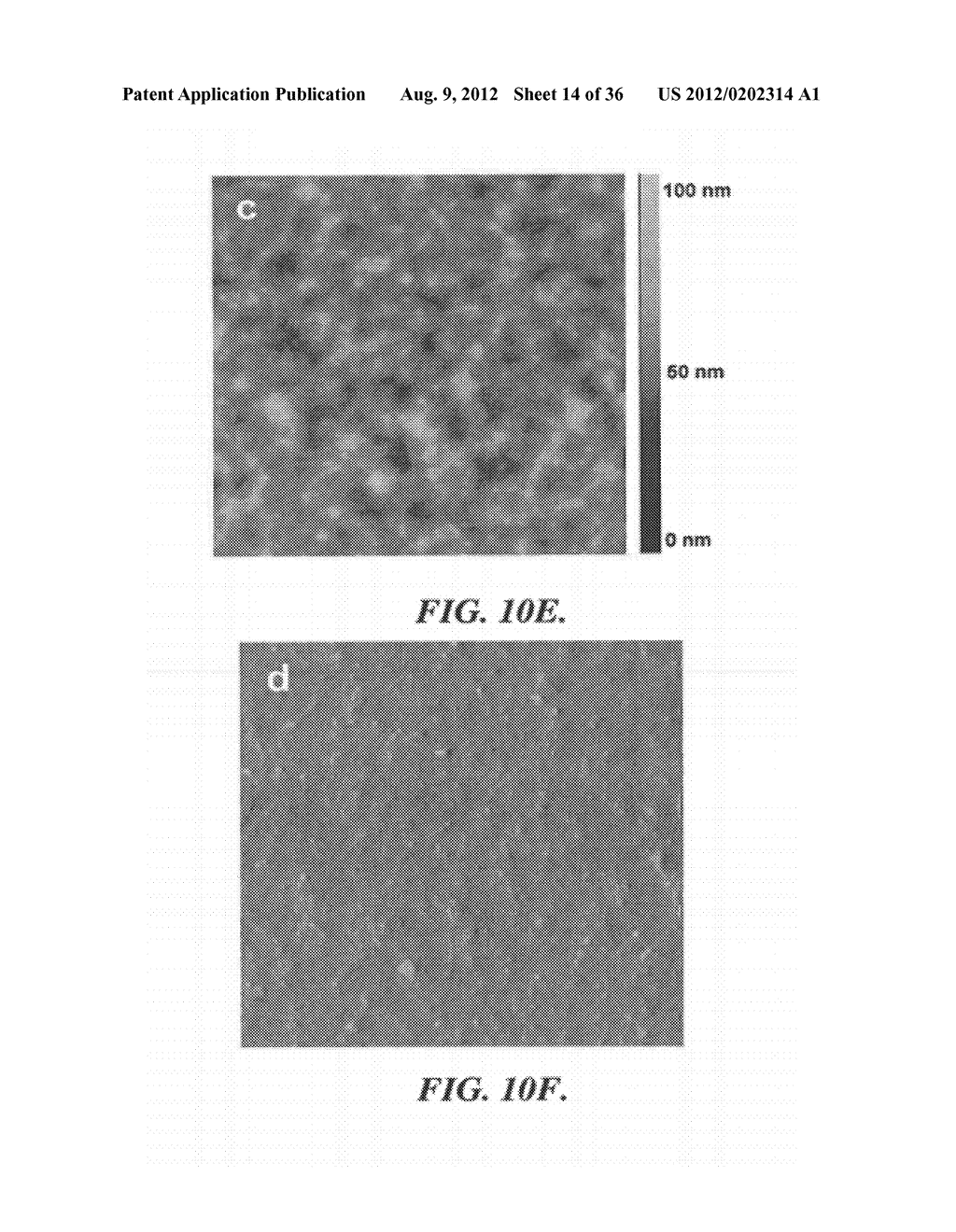 SOLAR CELLS BASED ON POLYMER NANOWIRES - diagram, schematic, and image 15