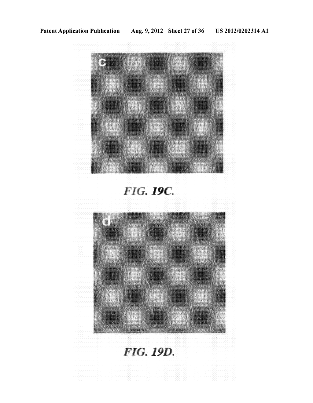 SOLAR CELLS BASED ON POLYMER NANOWIRES - diagram, schematic, and image 28