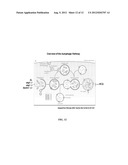 CELL LINES USEFUL FOR ASSESSING MODULATION OF AUTOPHAGY diagram and image