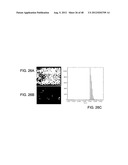 Devices and Methods for Producing and Analyzing Microarrays diagram and image