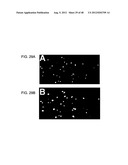 Devices and Methods for Producing and Analyzing Microarrays diagram and image