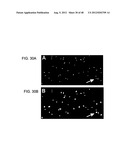 Devices and Methods for Producing and Analyzing Microarrays diagram and image