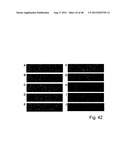 Devices and Methods for Producing and Analyzing Microarrays diagram and image