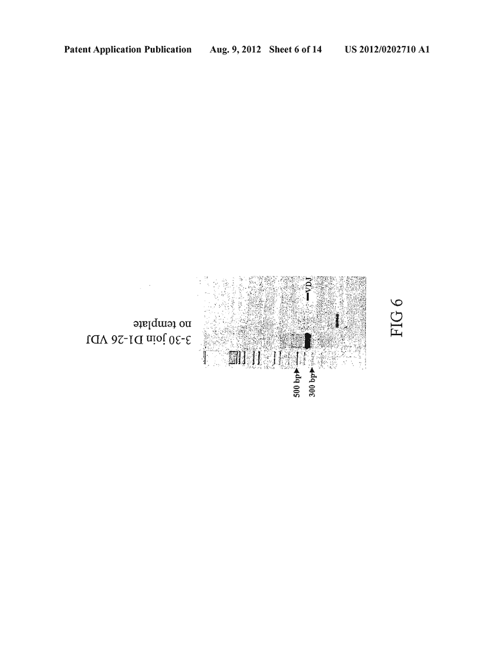 Methods and compositions for generation of germline human antibody genes - diagram, schematic, and image 07