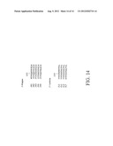 Methods and compositions for generation of germline human antibody genes diagram and image