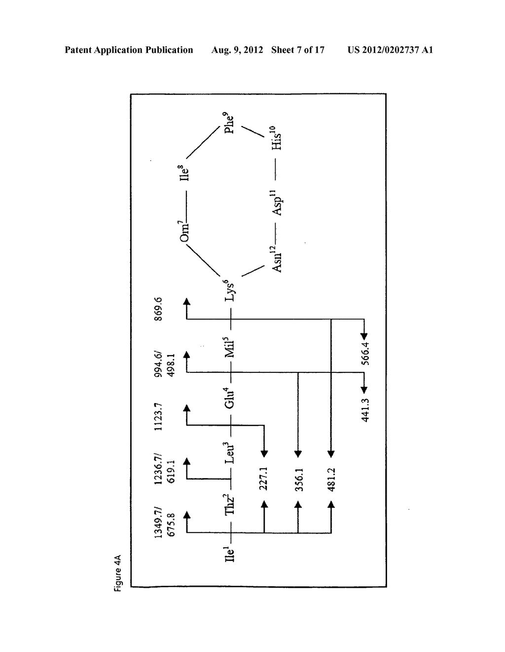 New bacitracin antibiotics - diagram, schematic, and image 08