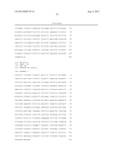 GDF3 ANTIBODIES AND RELATED METHODS diagram and image