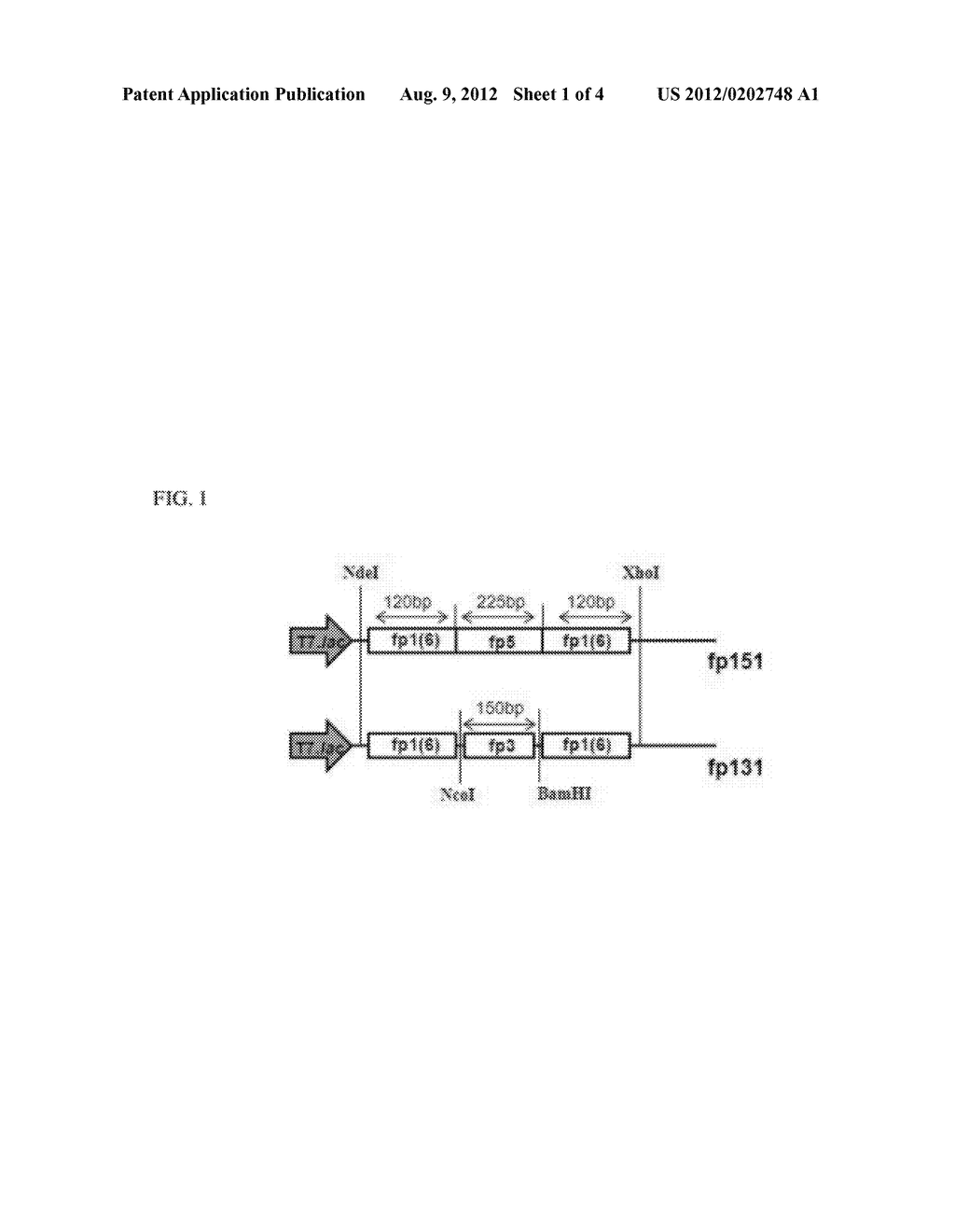 RECOMBINANT MUSSEL ADHESIVE PROTEIN FP-131 - diagram, schematic, and image 02