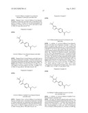 THERAPEUTIC ISOXAZOLE COMPOUNDS diagram and image