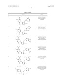 TRIAZOLE COMPOUNDS THAT MODULATE HSP90 ACTIVITY diagram and image