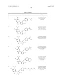 TRIAZOLE COMPOUNDS THAT MODULATE HSP90 ACTIVITY diagram and image