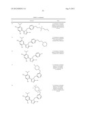 TRIAZOLE COMPOUNDS THAT MODULATE HSP90 ACTIVITY diagram and image